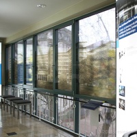 CarlBosch Frankfurt11(12)