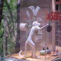 koziol ambiente16 (8) (5454 Besuche) koziol ambiente16 (8)