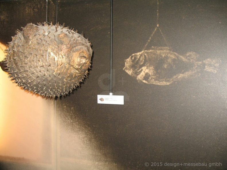 CBM Bruchsal10(58) (2100 Besuche) CBM Bruchsal10(58)