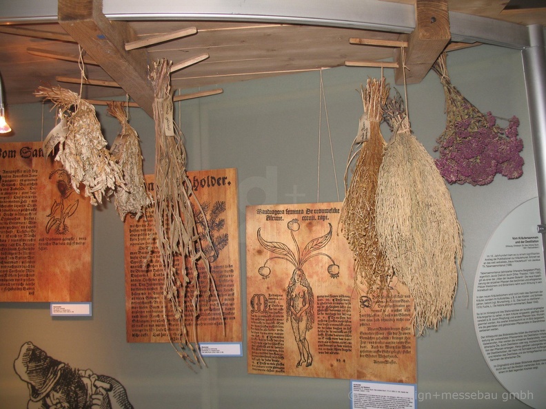 CBM SchlossTheuern11(8) (2133 Besuche) CBM SchlossTheuern11(8)