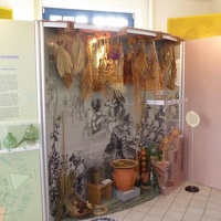 CBM Großbothen2019 29